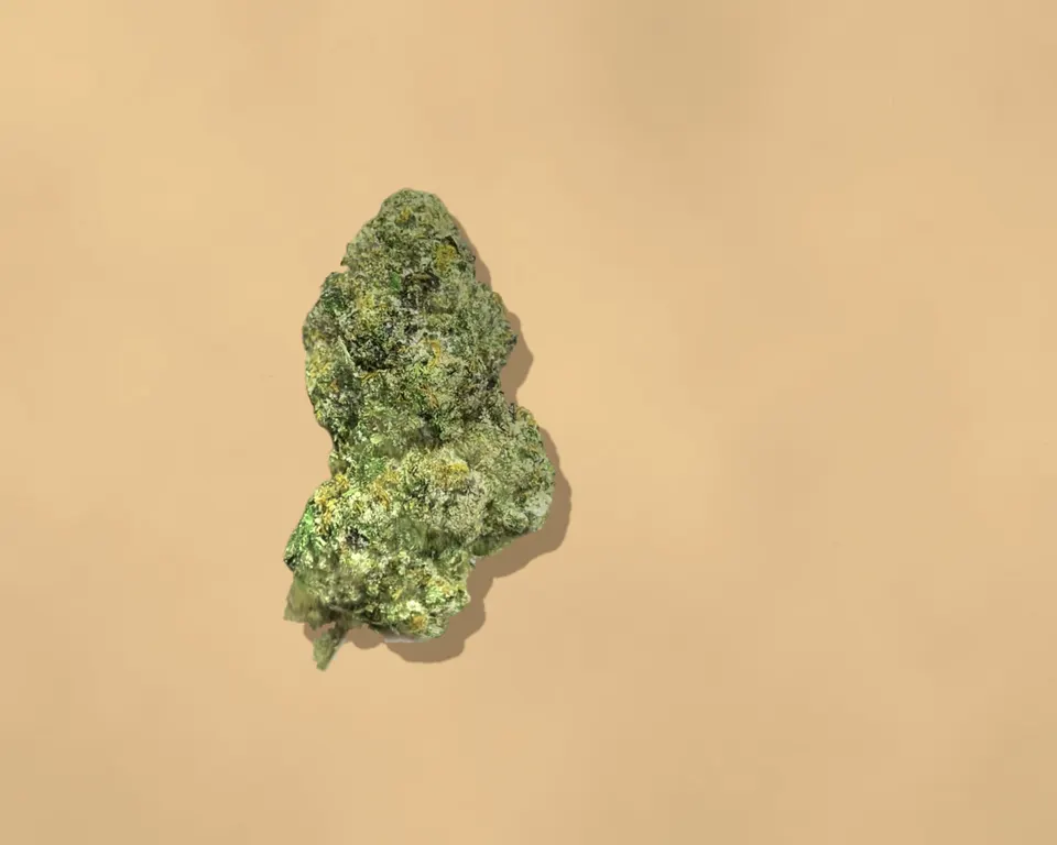 Cream Smoothie THCA flower on kraft paper, indoor
