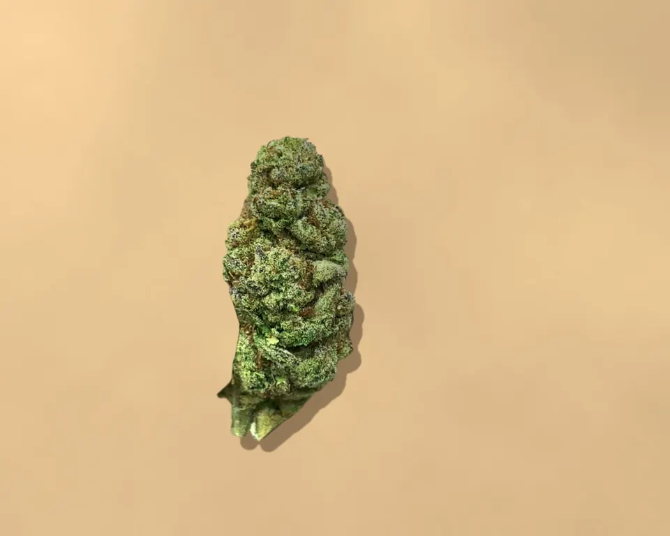 Glitter Bomb THCA flower on kraft paper, light-dep