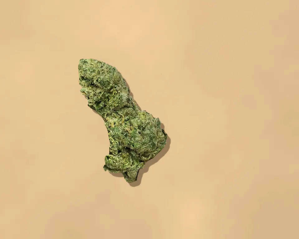 Sin Mintz THCA flower on kraft paper, indoor