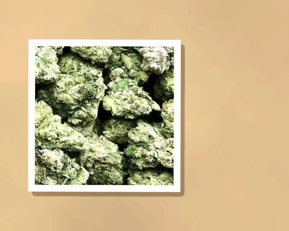 Spash THCA flower on kraft paper, indoor